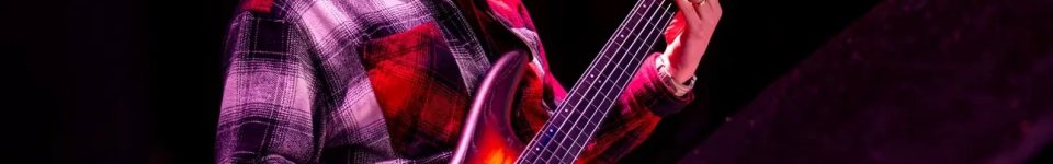 Ibanez Fretless Gary Willis Signature